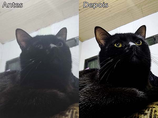 Edição de Fotos Profissional